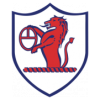 https://img.scnjhyw.com/img/football/team/11fb72f7b5eacfc881ee11bac75871fa.png