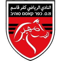 https://img.scnjhyw.com/img/football/team/6ab1782364049d6313678f74a706d246.png