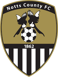 https://img.scnjhyw.com/img/football/team/9e230c89a846b9cadf91884918fa7611.png